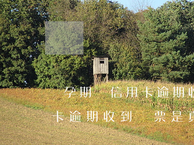 懷孕期間信用卡逾期收到傳票 懷孕期間信用卡逾期收到傳票是真的嗎