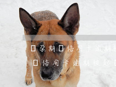 懷孕期間信用卡逾期被起訴會怎樣-懷孕期間信用卡逾期被起訴會怎樣呢