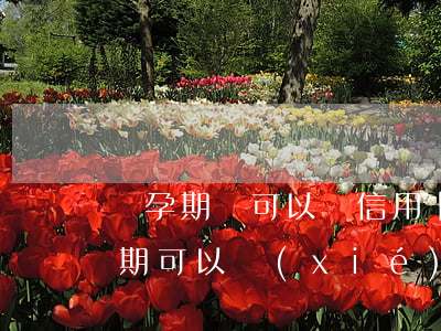 懷孕期間可以辦信用卡嗎（懷孕期間信用卡逾期可以協(xié)商嗎）