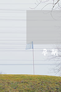 懷孕期間合同到期，女員工能否被辭退?