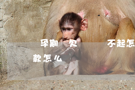懷孕期間欠網貸還不起怎么辦(孕期還不上貸款怎么辦)