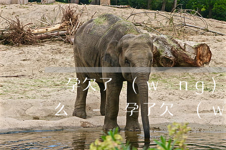懷孕欠了網(wǎng)貸還不上要瘋了怎么辦-懷孕了欠網(wǎng)貸沒辦法還怎么辦
