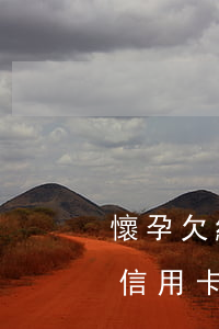 懷孕欠網(wǎng)貸信用卡逾期怎么辦(信用卡網(wǎng)貸逾期怎么處理)