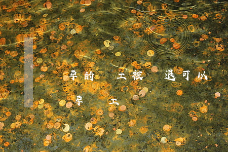 懷孕的員工被辭退可以嗎（哪些情況可以辭退懷孕員工）