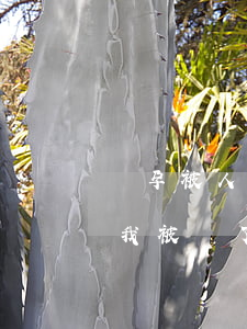 懷孕被人騙了欠了網(wǎng)貸怎么辦(我被騙了網(wǎng)貸怎么辦)