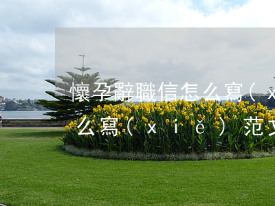 懷孕辭職信怎么寫(xiě)，懷孕辭職信怎么寫(xiě) 范文