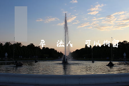 懷孕違法人員可以拘留嗎(孕婦違法會拘留嗎)