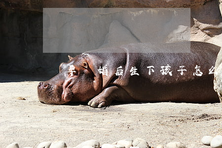 懷孕離婚后生下孩子怎么上戶口
