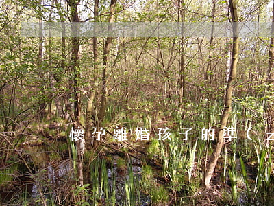 懷孕離婚孩子的準(zhǔn)生證怎么辦
