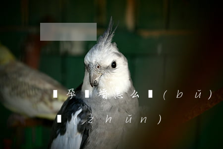懷孕離婚怎么補(bǔ)償標(biāo)準(zhǔn)