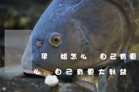 懷孕離婚怎么讓自己有更大利益(懷孕離婚怎么讓自己有更大利益)