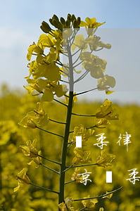 懷柔律師事務(wù)所哪個(gè)好(北京懷柔律師事務(wù)所哪家好)