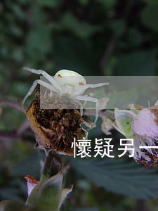 懷疑另一半有精神狀態(tài)能離婚嗎