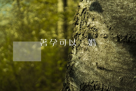 懷著孕可以離婚嗎