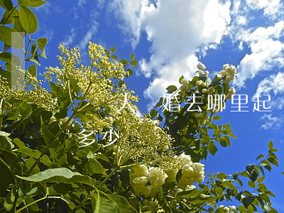 懷遠人離婚去哪里起訴(懷遠法院電話號碼是多少)