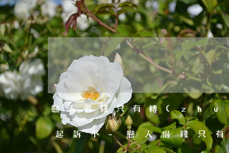 戀人借錢只有轉(zhuǎn)賬記錄可以起訴不-戀人借錢只有轉(zhuǎn)賬記錄可以起訴不還嗎