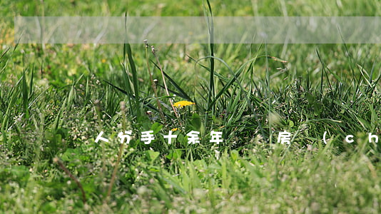 戀人分手十余年，為爭房產(chǎn)起糾紛