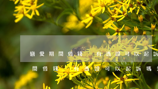 戀愛期間借錢沒有憑證可以起訴嗎-戀愛期間借錢沒有憑證可以起訴嗎知乎