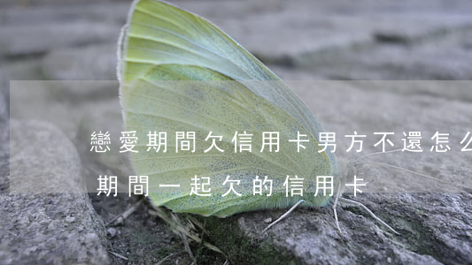 戀愛期間欠信用卡男方不還怎么辦-談戀愛期間一起欠的信用卡