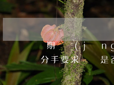 戀愛期間經(jīng)濟(jì)禮物贈與，分手要求償還是否合理