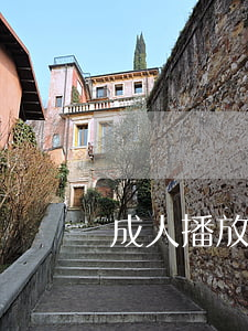 成人播放器下載(成人播放器下載)