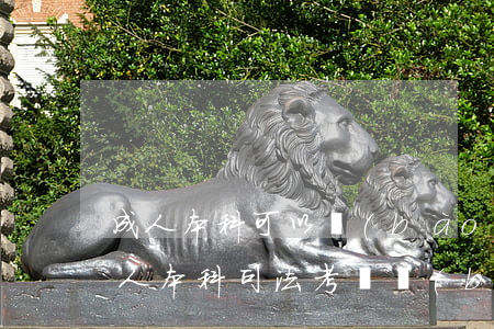 成人本科可以報(bào)考司法考試嗎(成人本科司法考試報(bào)名條件)
