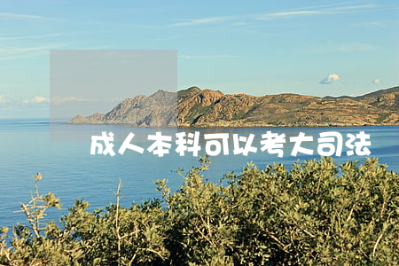 成人本科可以考大司法嗎