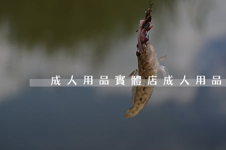 成人用品 實體店(成人用品實體店利潤)