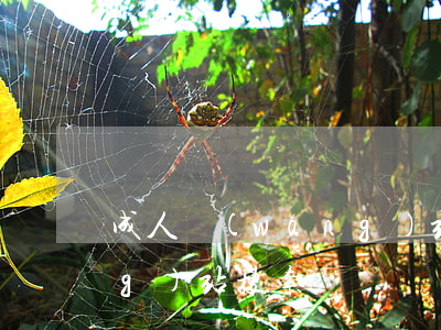 成人網(wǎng)站搜索(成人網(wǎng)站搜索)
