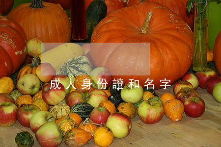成人身份證和名字