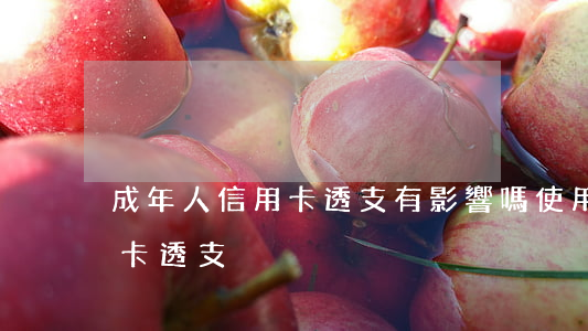 成年人信用卡透支有影響嗎(使用他人的信用卡透支)