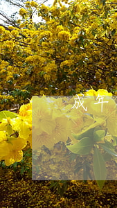成年人欠錢無力償還