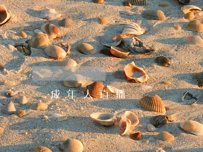 成年人直播