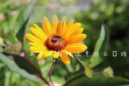 成年人離婚注意什么(離婚需要注意什么)