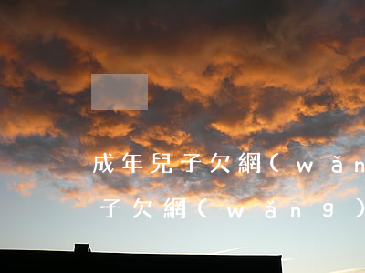 成年兒子欠網(wǎng)貸父母怎么辦(兒子欠網(wǎng)貸會(huì)連累父母嗎)