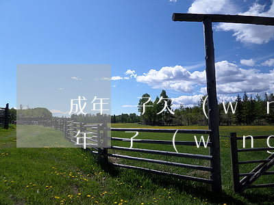 成年兒子欠網(wǎng)貸要父母還嗎(成年兒子網(wǎng)貸網(wǎng)堵欠下的錢父母有無償還的責(zé)任)