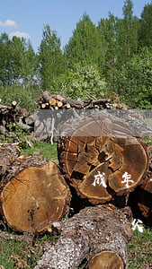 成年子女欠債父母有責任償還嗎(成年子女欠債父母有責任償還嗎知乎)
