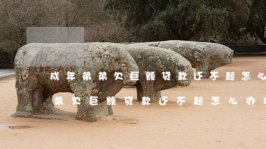 成年弟弟欠巨额贷款还不起怎么办-成年弟弟欠巨额贷款还不起怎么办呢