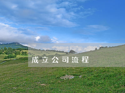成立公司流程