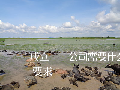 成立勞務公司需要什么條件(開勞務公司需要要求)
