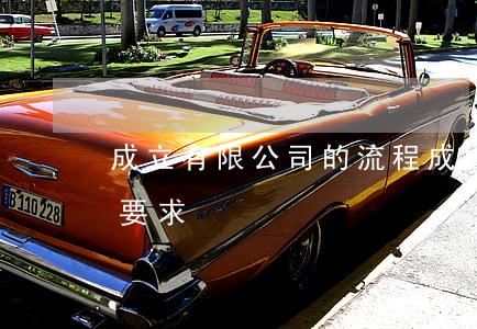 成立有限公司的流程(成立有限公司的流程和要求)