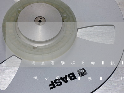 成立有限公司的貸款還不起怎么辦-成立有限公司的貸款還不起怎么辦呢