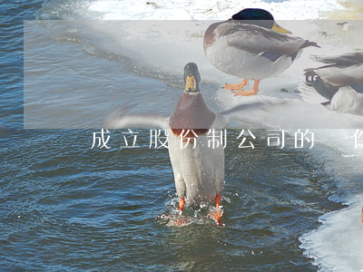 成立股份制公司的條件