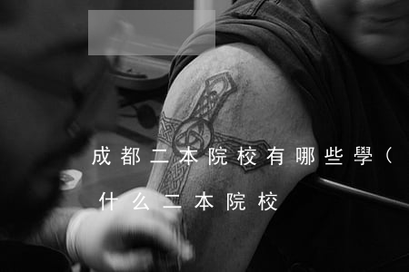 成都二本院校有哪些學(xué)校，成都有什么二本院校