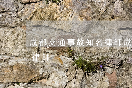成都交通事故知名律師(成都知名的刑事辯護律師)