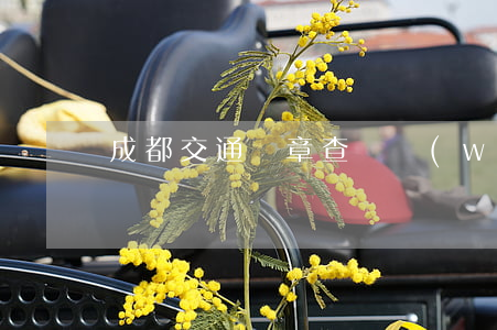 成都交通違章查詢網(wǎng)