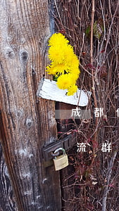 成都信用卡逾期交流群(有沒有信用卡逾期交流群)