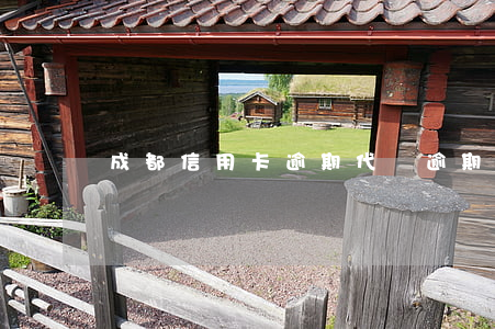 成都信用卡逾期代還 逾期的信用卡可以代還嗎