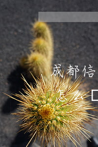 成都信用卡逾期后怎么辦(成都信用卡逾期后怎么辦理)