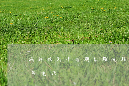 成都信用卡逾期处理流程 成都办信用卡业务员电话